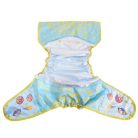 Rearz Lunar Cub mosható pelenkavédő